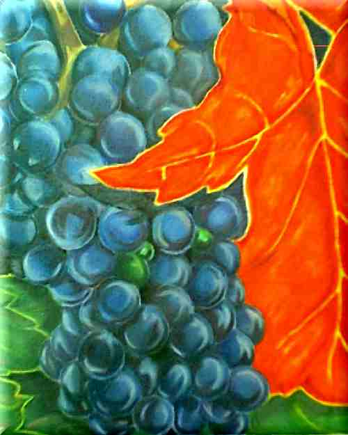 Grapes close up