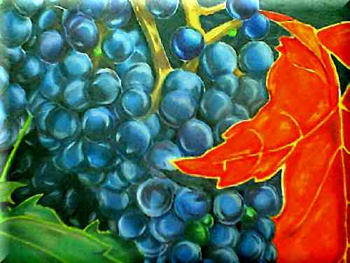 Another close up of Grapes