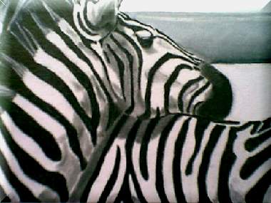 Zebras - Bohica2k